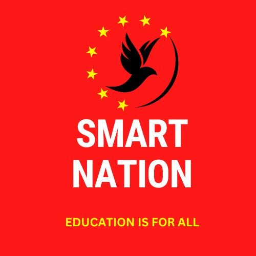 SMART NATION - LOGO